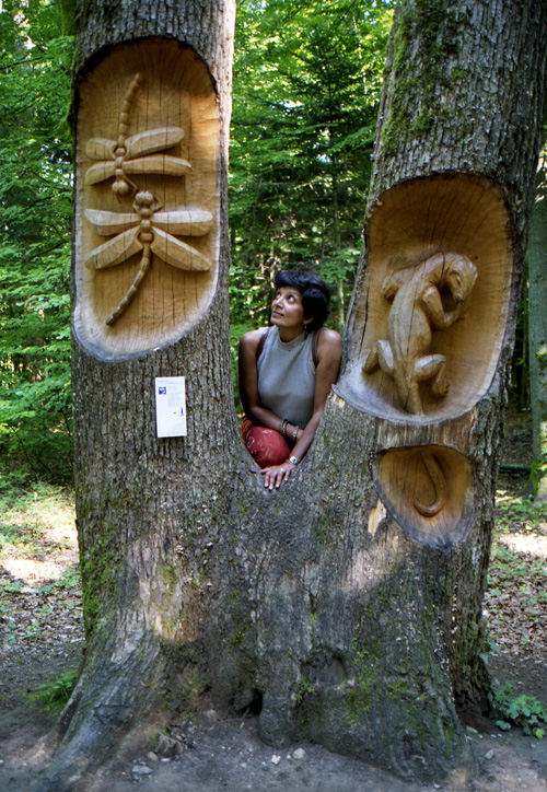 Suisse, Neuchatel, Aug. 2001 -Blog column size