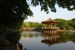 DSC00036 - Wakamiya-jinja - Nara - Copy