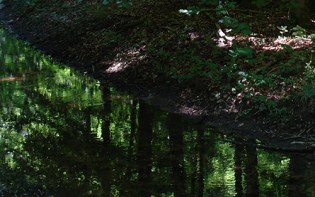 DSC00286 - Copy blog column size - Waterloopbos