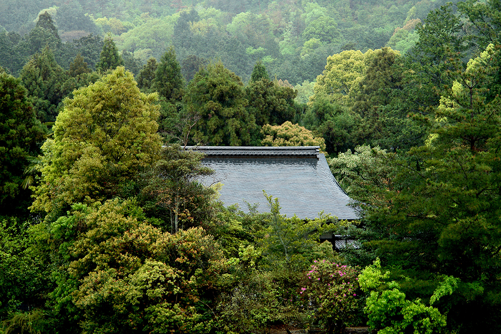 DSC00046 - Kinkakuji (Golden Temple) Kyoto - Copy blogsize