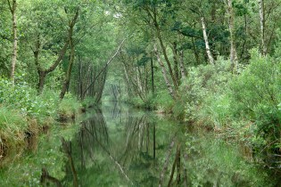 DSC00155 Weerribben-Netherlands 2008- Copy blogsize