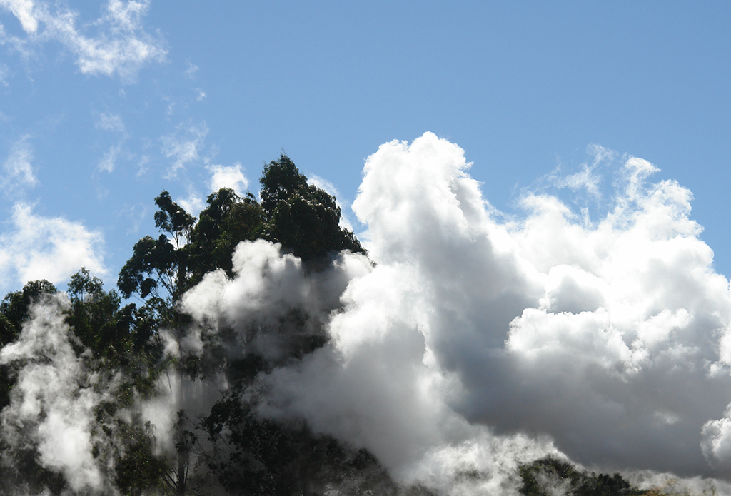 DSC00234(c) Wairakei Geothermal Power - blogsize