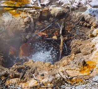 DSC00218a(c) Waimangu Volcanic Valley - blogsize