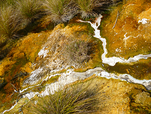 DSC00218d Waimangu Volcanic Valley - blogsize