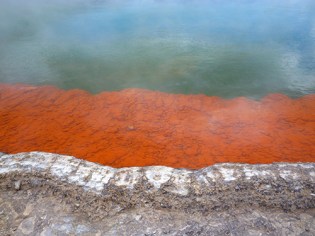 DSC00228a Wai-O-Tapu thermal wonderland - Champagne Pool - blogsize