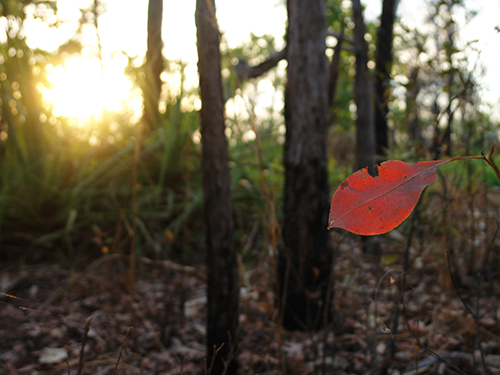Arnhemland, Australia 2013