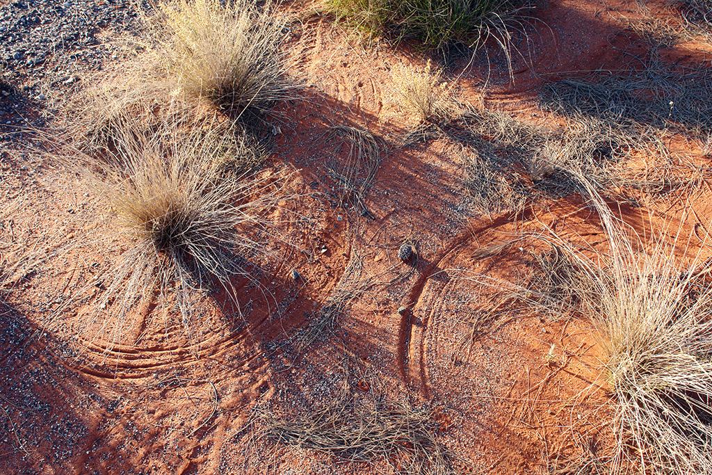 DSC00178 - Central desert near Alice Springs 2013