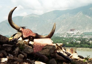 Tibet, Lhasa, Potala,1996