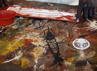 DSC00023 - Oenpelli 2013