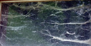 DSC00044 Netherlands - blog size