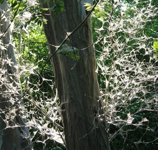 Amsterdam, The Netherlands 2013