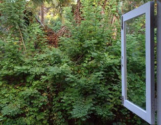 DSC00124 Old Goa - blog size