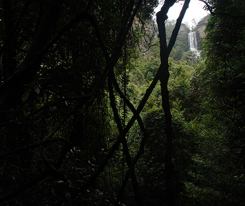 DSC00255(c) Sydney Blue Mountains - Scenic World, Katoomba 2013 blogcolumn