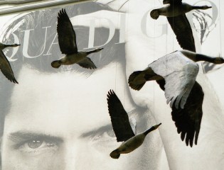 Toronto Canada, July 2001