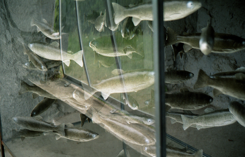 Triennale, Bex, Suisse, Sept. 2005