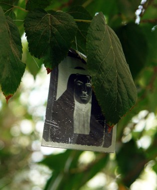 Photo tree, Halim al Karim (Bagdad, Iraq), Darat al Funon Gallery, Amman, Jordan 2010