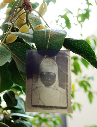 Photo tree, Halim al Karim (Bagdad, Iraq), Darat al Funun Gallery, Amman, Jordan 2010