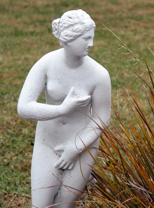 Auckland, New Zealand 2013