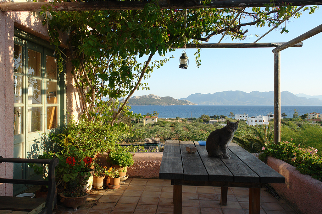 DSC00154 Aegina 2013-blogsize