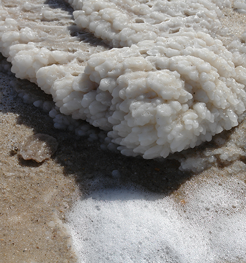 Dead Sea 2010 - blog size