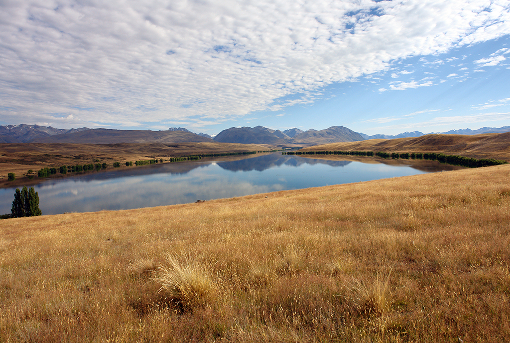 DSC00118 Lake Alexandrina 2013