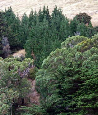 Okains Bay, Banks Peninsula, South Island, New Zealand 2013