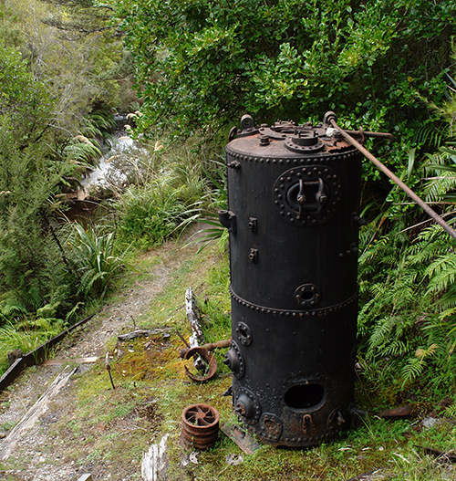 DSC00178 West Coast - Westport -Charming Creek Walk 2013 blogcolumn