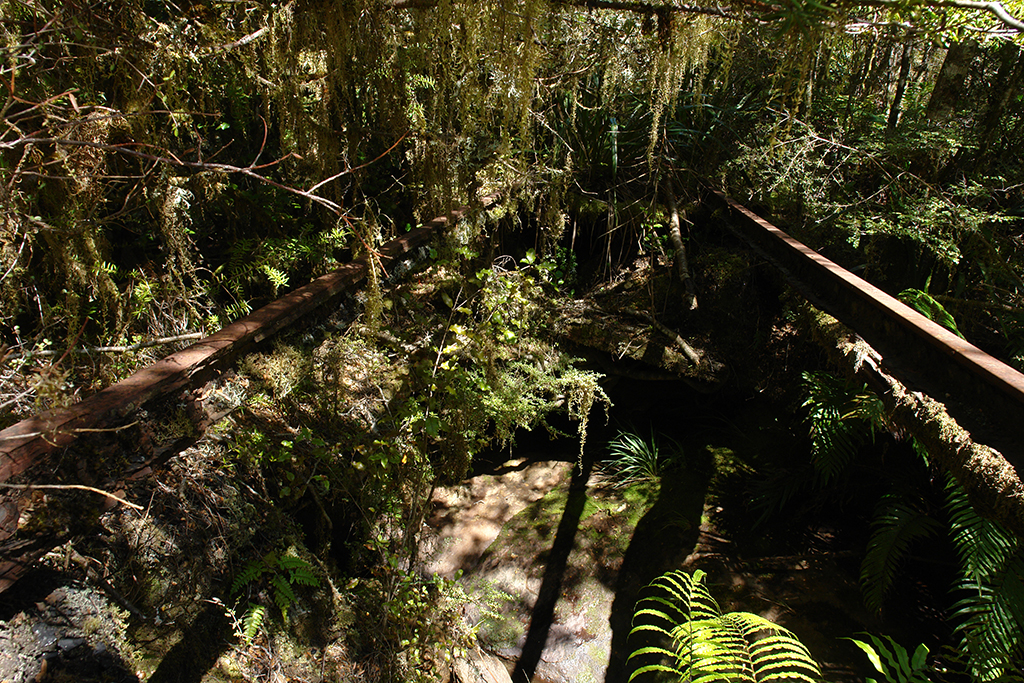 DSC00184 West Coast - Westport -Charming Creek Walk 2013