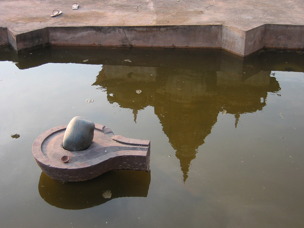 and in a pond