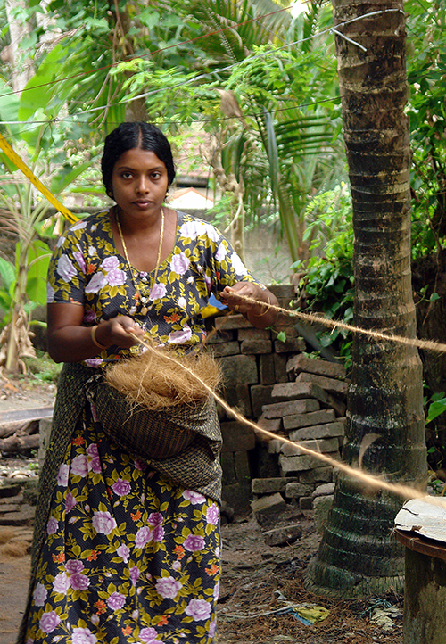 DSC00324 Arattupuzha-blogcolumn