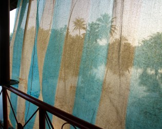 DSC00344b Thrikunnapuzha - blog