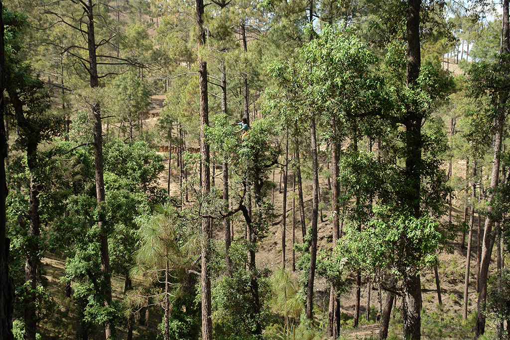 Almora - 2011