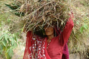Kumaon, Uttarakhand, India 2013