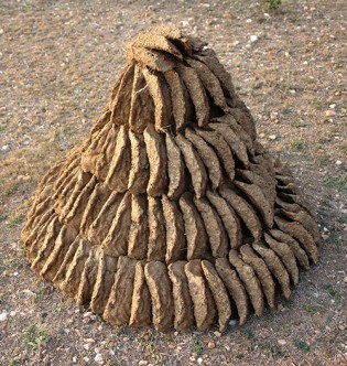 Drying cow dung, Futera, Orchha, M.P., India2009