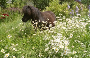 vandoeuvres-switzerland-june-2001