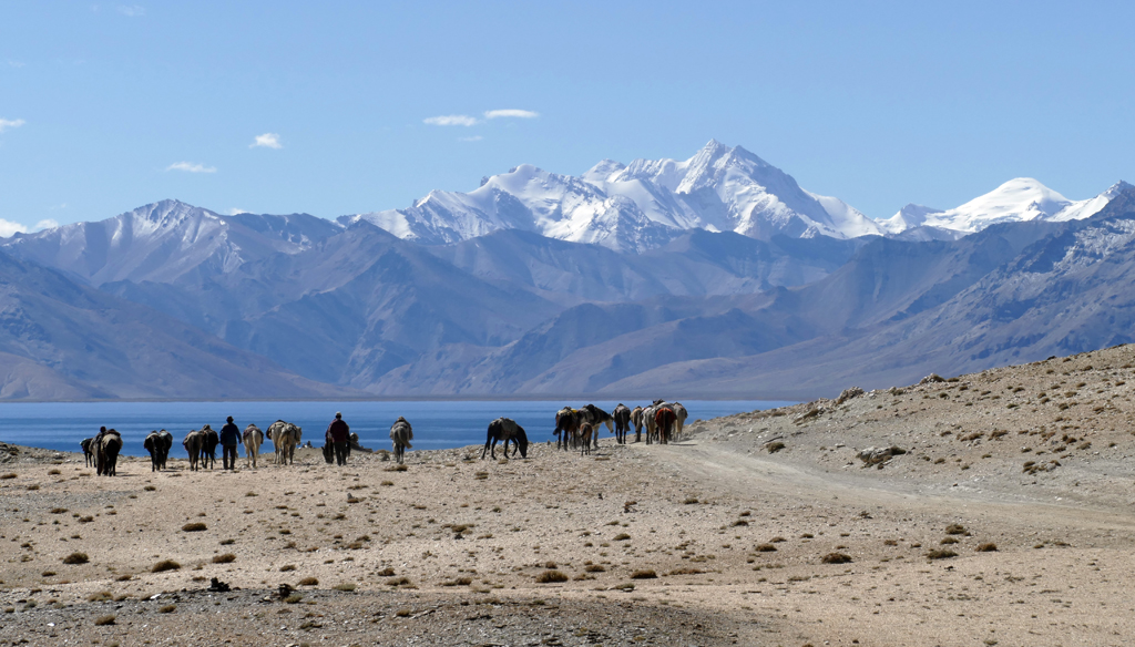 P1010012cr Tsomoriri Lake, 4560m